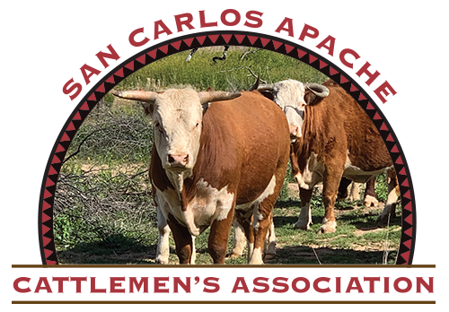 San Carlos Apache Cattle Logo